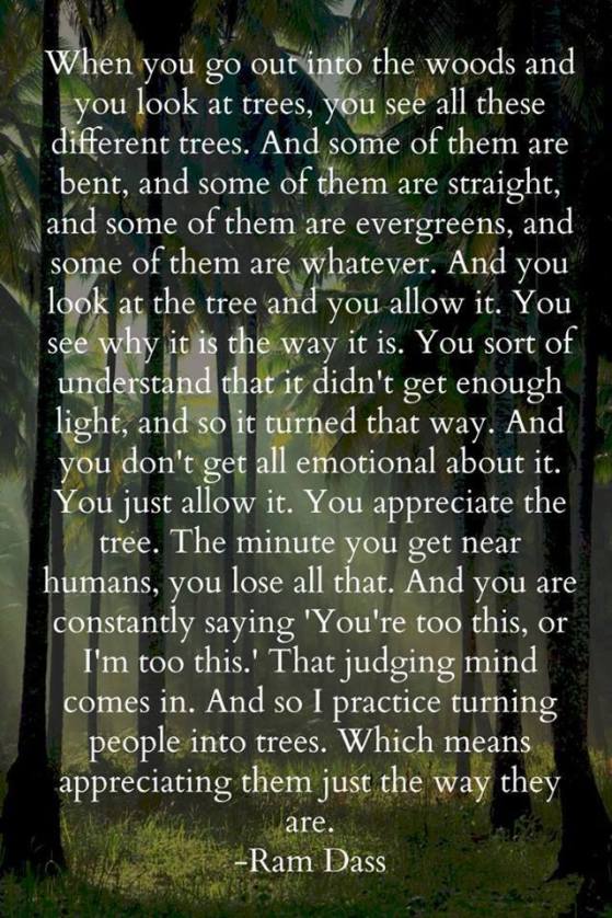 21557594_1669837746361186_1000640843361668812_n