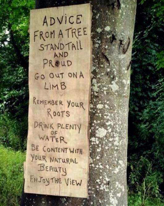 21617908_10155327688880379_2232664658750660229_n