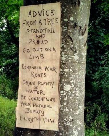 21617908_10155327688880379_2232664658750660229_n