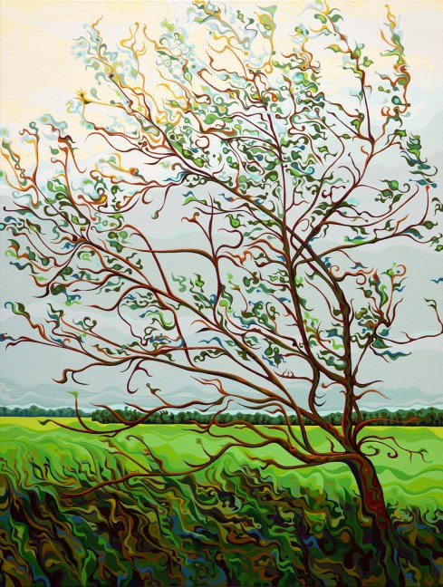 The Seasonal IndusTreeprnt